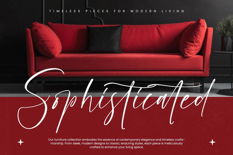 Petalika Natalins - Modern Handwritten Script Font Letterena Studios 