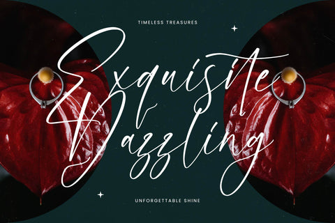 Petalika Natalins - Modern Handwritten Script Font Letterena Studios 