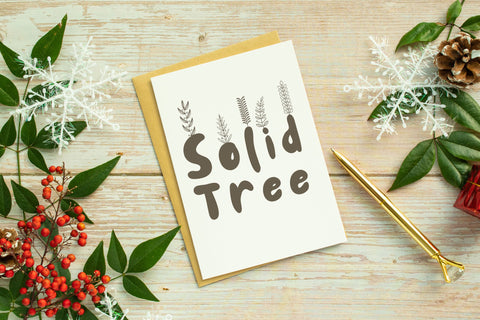 Petaline Dingbat – Whimsical Floral Vector Font for Crafters Font Dm Letter Studio 