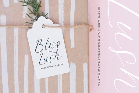 Petalip Orchid - Modern Freestyle Stylish Font Letterena Studios 