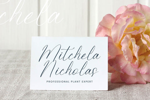 Petalip Orchid - Modern Freestyle Stylish Font Letterena Studios 