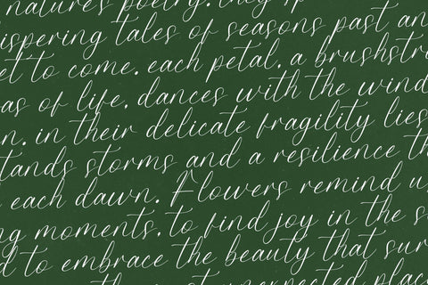 Petalip Orchid - Modern Freestyle Stylish Font Letterena Studios 