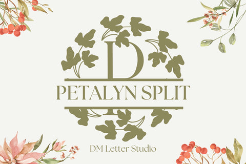 Petalyn Split Monogram Font Dm Letter Studio 