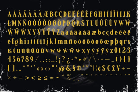 Phantoms Vintage Serif Font studioalmeera 