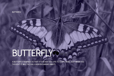 Phoenix - Modern Sans Serif Font studioalmeera 