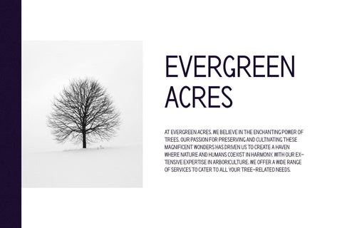 Phoenix - Modern Sans Serif Font studioalmeera 