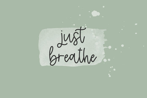 Pineblossom Script Font Beck McCormick 