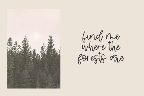 Pineblossom Script Font Beck McCormick 