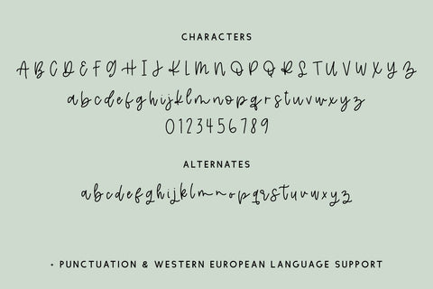 Pineblossom Script Font Beck McCormick 