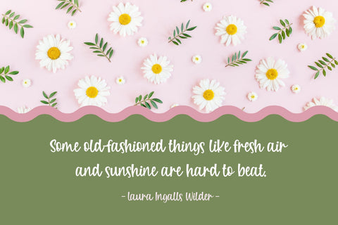 Pink Garden Font Dm Letter Studio 