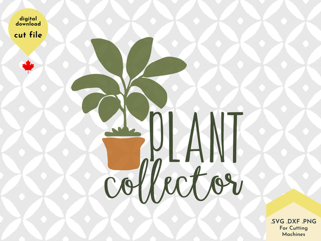 Plant Collector - House Plant Lover SVG SVG Lettershapes 