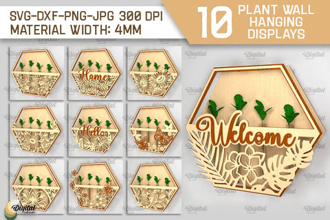 Plant Wall Hanging Display SVG Bundle. Wall Planter Laser Cut SVG Evgenyia Guschina 