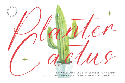 Planter Cactus - Freestyle Stylish Font Font Letterena Studios 