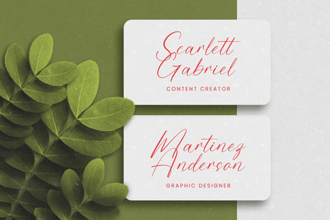 Planter Cactus - Freestyle Stylish Font Font Letterena Studios 