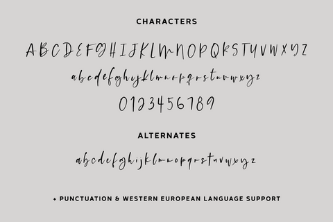 Platespinner Script Font Beck McCormick 