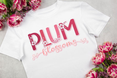 Plum Blossoms Font Duo Font AnningArts Design 
