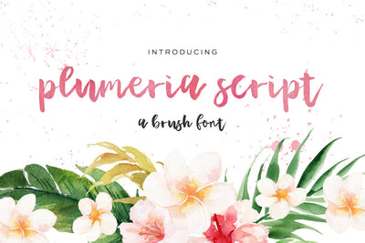 Plumeria Brush Script Font Font Beck McCormick 