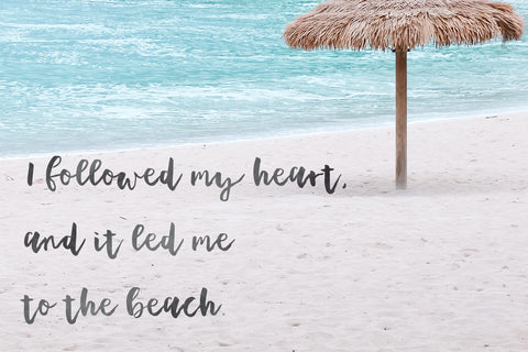 Plumeria Brush Script Font Font Beck McCormick 