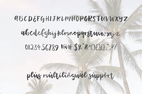Plumeria Brush Script Font Font Beck McCormick 