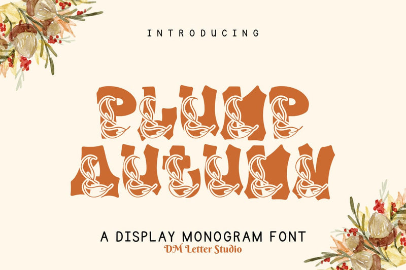 Plump Autumn Font Font Dm Letter Studio 