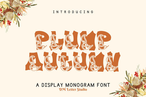 Plump Autumn Font Font Dm Letter Studio 