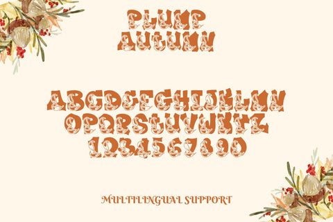 Plump Autumn Font Font Dm Letter Studio 