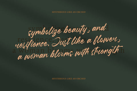 Pluretta Vintage - Modern Brush Font Font Letterena Studios 