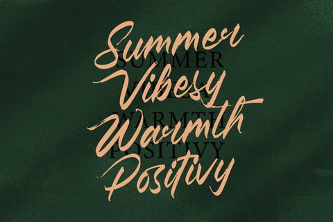 Pluretta Vintage - Modern Brush Font Font Letterena Studios 