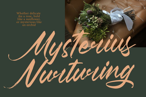 Pluretta Vintage - Modern Brush Font Font Letterena Studios 