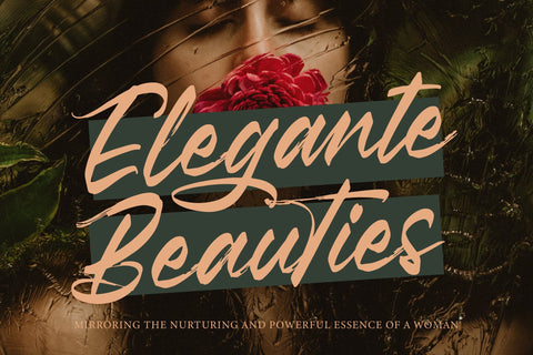 Pluretta Vintage - Modern Brush Font Font Letterena Studios 