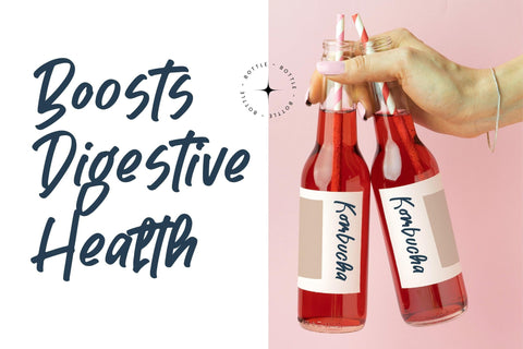 Pontipect Maxims - Handwriting Display Font Font Letterena Studios 