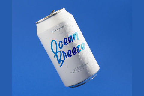 Pontipect Maxims - Handwriting Display Font Font Letterena Studios 