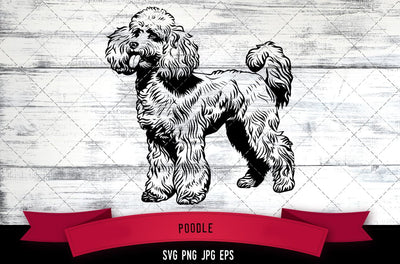 Poodle SVG, Dog SVG, Logo - Digital Download with Commercial License for Cricut, Silhouette, Scan N Cut Crafting SVG Loveleen Kaur 
