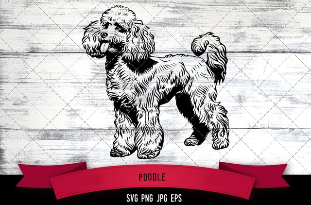 Poodle SVG, Dog SVG, Logo - Digital Download with Commercial License for Cricut, Silhouette, Scan N Cut Crafting SVG Loveleen Kaur 