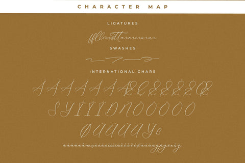 Portterda - Modern Calligraphy Font Font Storytype Studio 