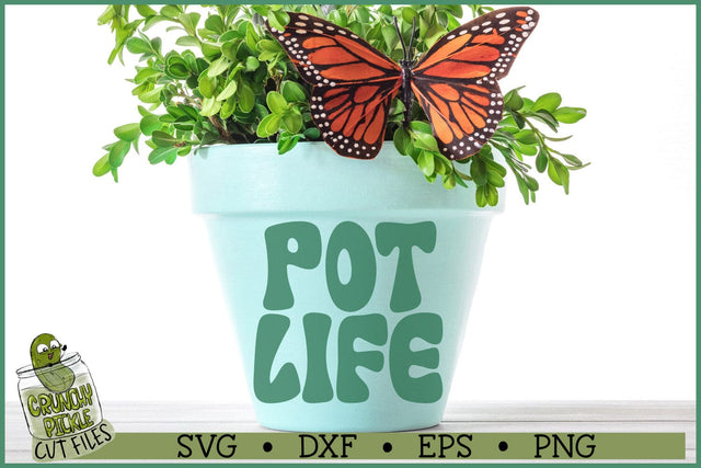 Pot Life SVG SVG Crunchy Pickle 