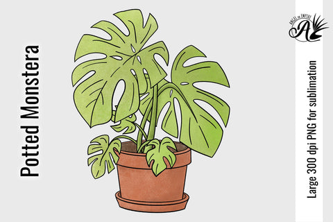 Potted Monstera PNG for sublimation or crafts Sublimation Angel on Empire 