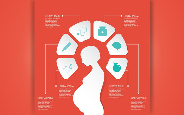 pregnancy and motherhood Infographic Chart. Health of pregnant women and fetal development.Pregnant diet, healthy lifestyle concept. Unhealthy pregnancy food SVG naemmiah021 