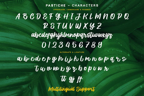 Prestiche - Bold Script Font Alpaprana Studio 