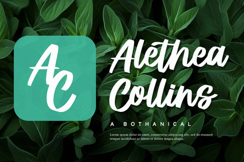 Prestiche - Bold Script Font Alpaprana Studio 