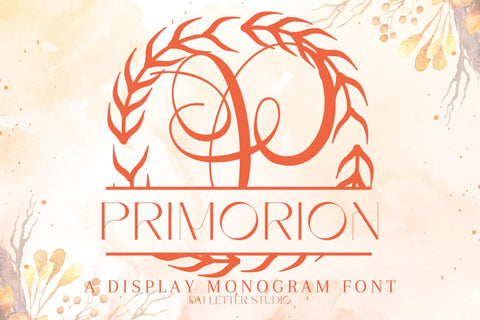Primorion Split Monogram Font Font Dm Letter Studio 