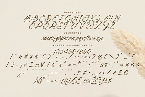 Primrose Essentials Font Duo Font Storytype Studio 