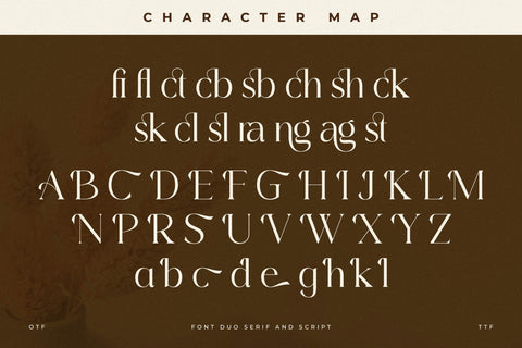 Primrose Essentials Font Duo Font Storytype Studio 