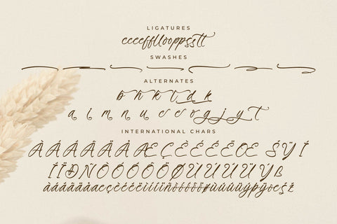 Primrose Essentials Font Duo Font Storytype Studio 