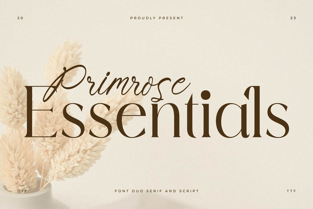 Primrose Essentials Font Duo Font Storytype Studio 