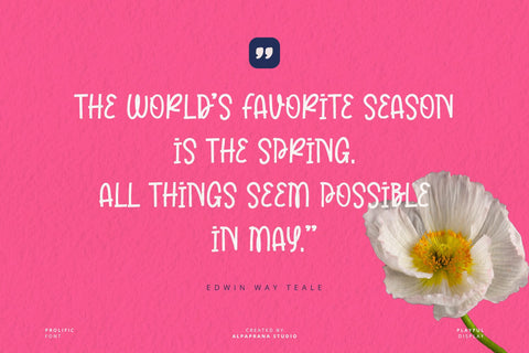 Prolific - Playful Font Font Alpaprana Studio 