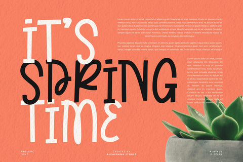 Prolific - Playful Font Font Alpaprana Studio 