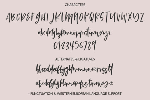 Promise Script Font Beck McCormick 