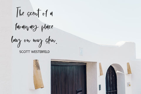 Promise Script Font Beck McCormick 