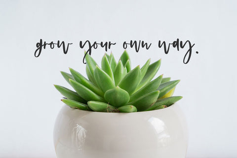 Promise Script Font Beck McCormick 